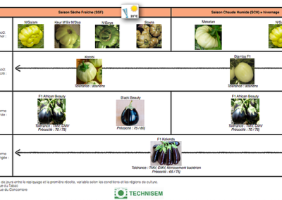 bf1_variety-calendar-aubergines