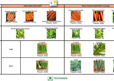 bf1_variety-calendar-carotte-laitue-gombo