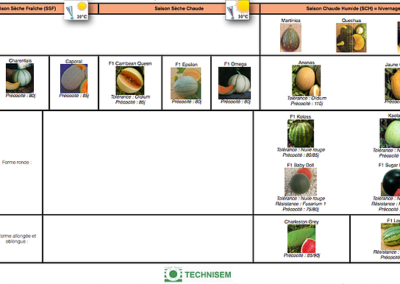 bf1_variety-calendar-melon-pasteque-giraumon
